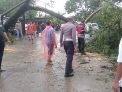 Sigap Hadapi Dampak Hujan Angin, Polisi Evakuasi Pohon Tumbang di Jalan Raya PLP Curug